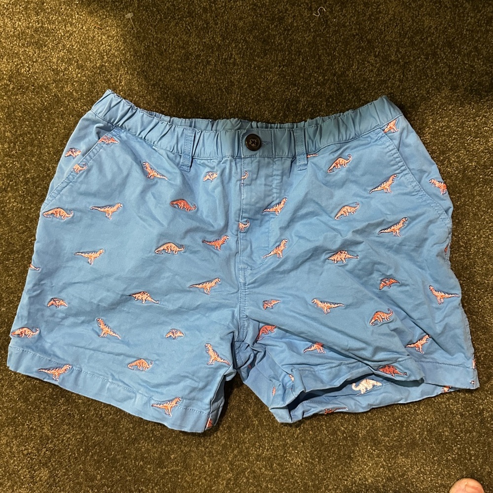 Chubbies Blue Shorts with Dinosaur Pattern